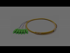 SC/APC 6 núcleos Bundle Fibra óptica de fibra de ventilador cola de cerdo de modo único 9/125um chaqueta amarilla